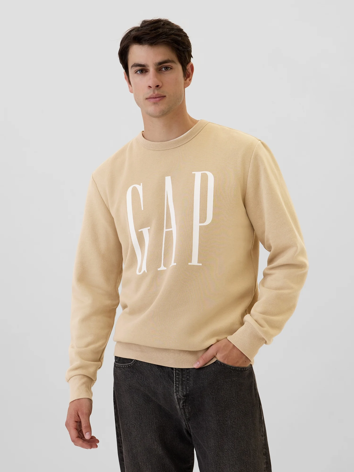 GAP Áo Sweatshirt Nam - Logo